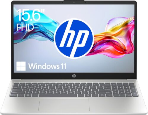 HP Laptop, 15.6 Inch FHD Display, Intel N100, 4 GB DDR4 RAM, 128 GB UFS, Intel UHD Graphics, Windows 11 Home in S Mode, QWERTZ Keyboard, Natural Silver