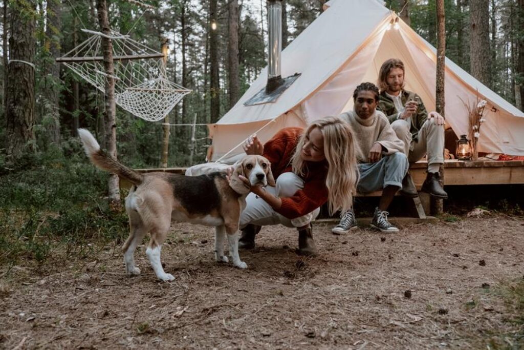 outdoor_camping_with_pets-1024×683.jpeg
