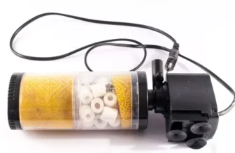 Welche Aquariumfilter eignen sich am besten für Süßwasserfische?