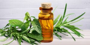 Die Vorteile der Verwendung ätherischer Öle in Ihrer Bade- und Körperroutine