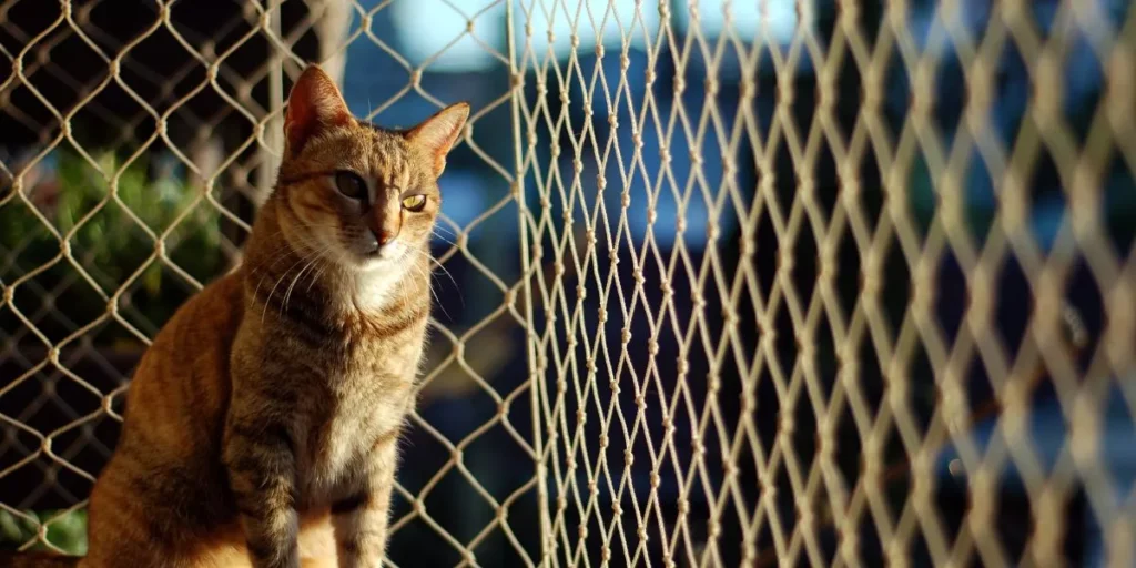 Smart Pet Gadgets for Enhanced Safety 1024x512.webp