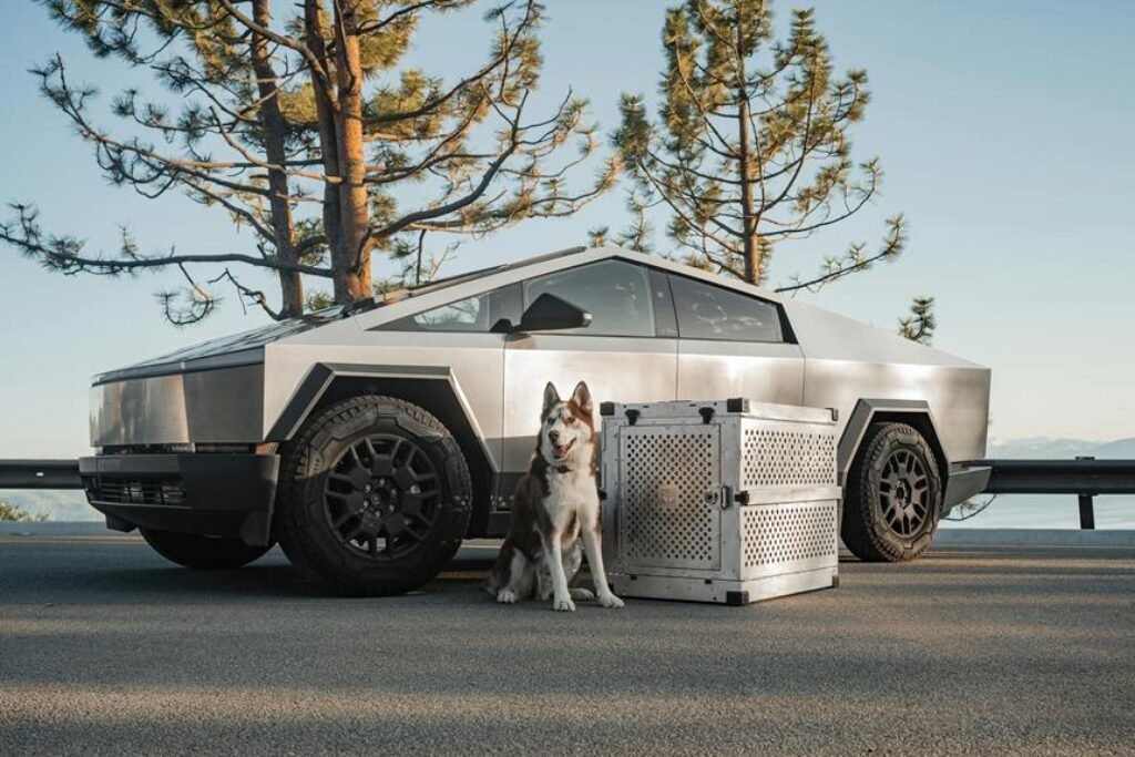choosing the perfect dog crate 1024x683